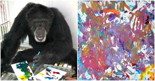 Пьер брассо