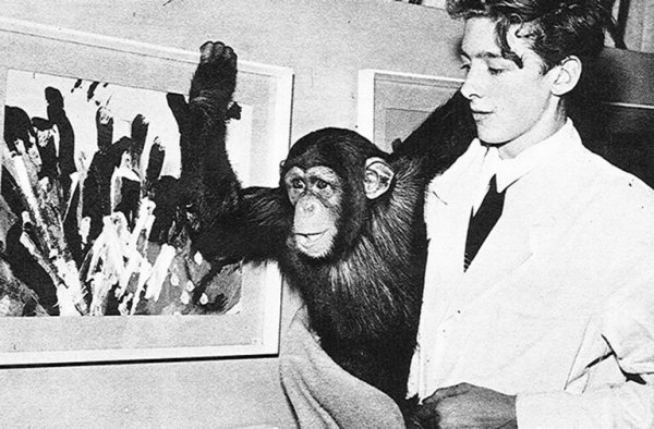 Пьер брассо картины шимпанзе