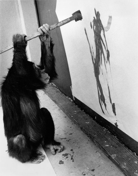 Обезьяна Конго художник