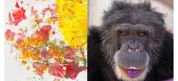 Творчество обезьян
