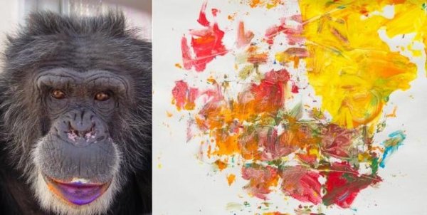 Пьер брассо картины шимпанзе
