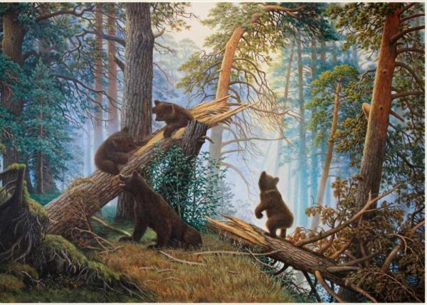 Утро в Сосновом Бору Шишкин