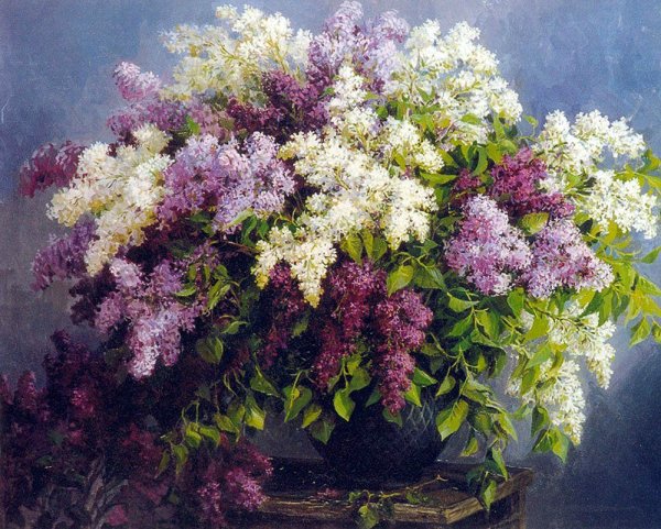 Поленов сирень