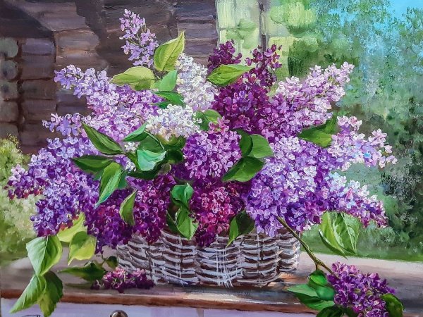 Кончаловский сирень