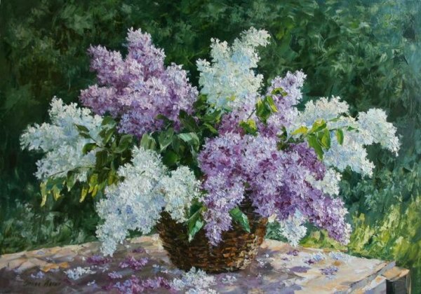 Anca Bulgaru сирень