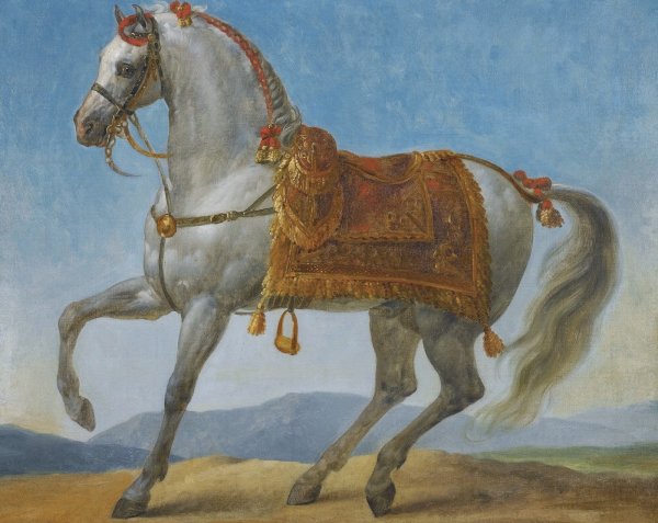 Конь Наполеона Бонапарта