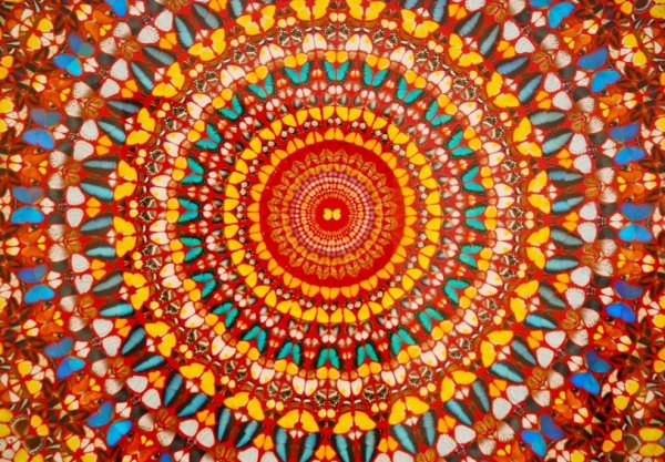 Даниэль Херст