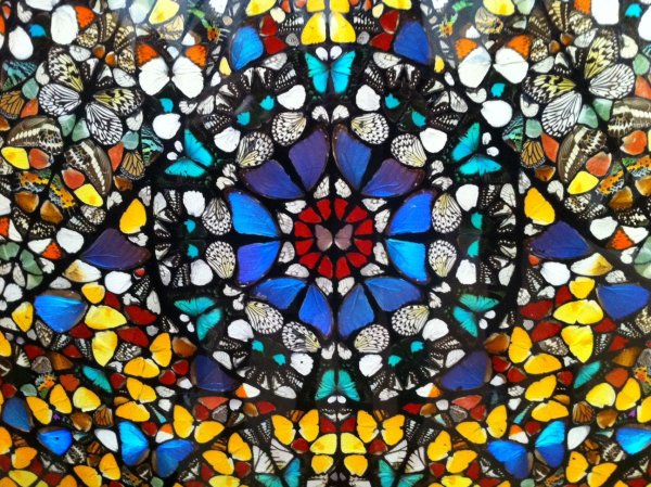 Дэмиен Херст картины бабочки