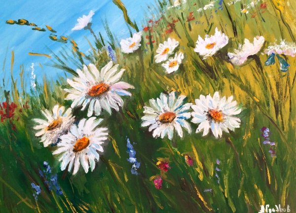 Ромашки маслом