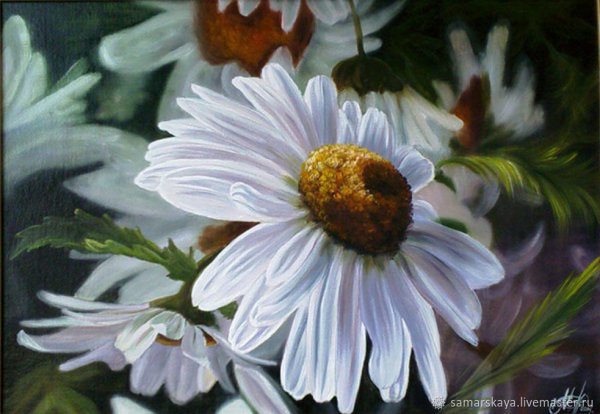 Картины маслом ромашки крупные