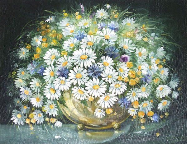 Художник Samson ромашки