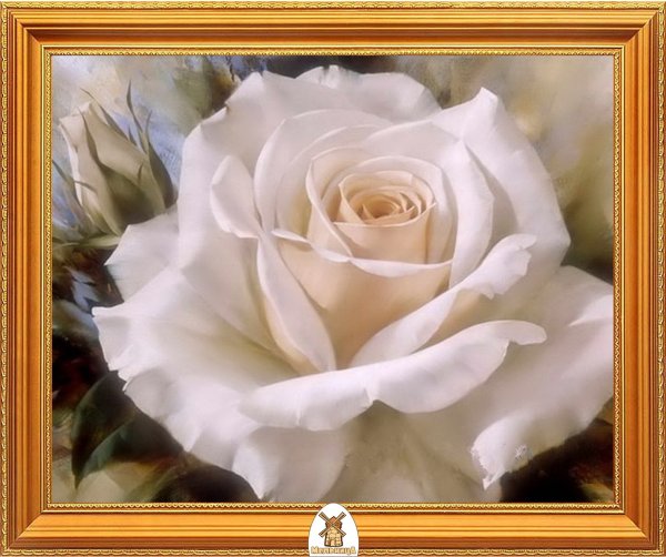 Картины в белых тонах