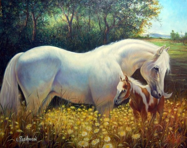 Белые пионы Лукас