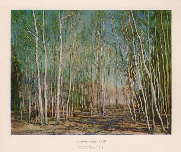 Бакшеев голубая Весна