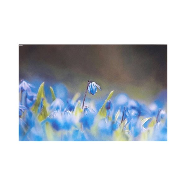 Бакшеев Василий Николаевич Весна