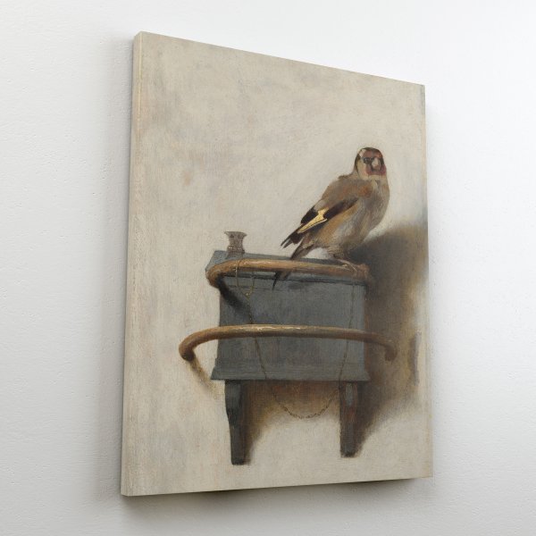 Фабрициус щегол