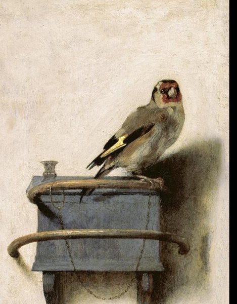 Карел Фабрициус щегол