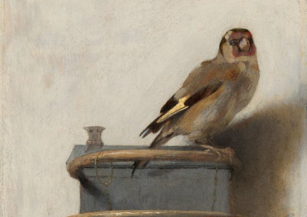 Ян Фабрициус щегол