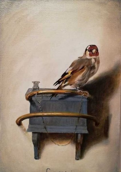 Фабрициус художник щегол