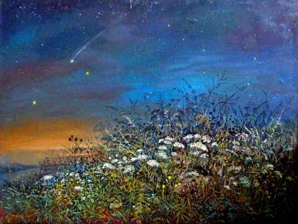 Сказочное звездное небо