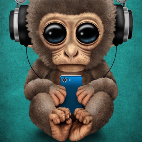 Картина шимпанзе в наушниках