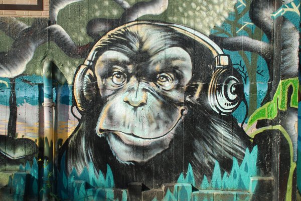 Шимпанзе в наушниках