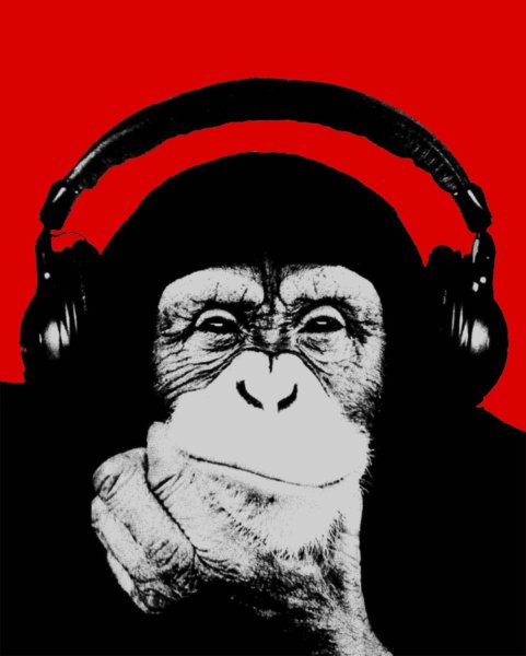 Обезьяна меломан картина