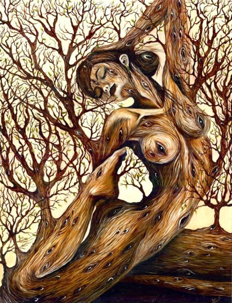 Лисет алькальд художник