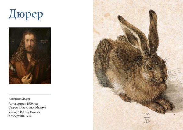 Картина заяц Альбрехта Дюрера