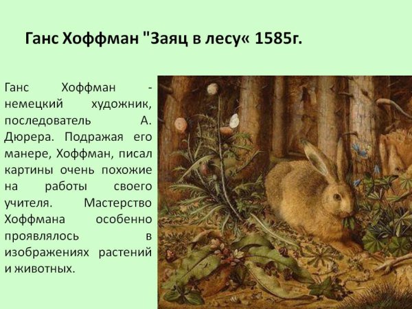 Альбрехт Дюрер заяц 1502 Жанр