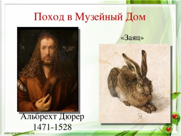 Альбрехт Дюрер заяц