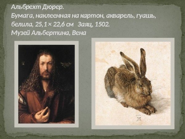 Альбрехт Дюрер молодой заяц