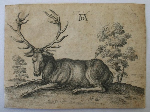 Альбрехт Дюрер заяц