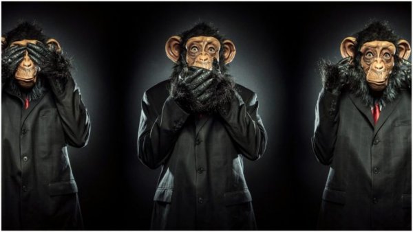 Три обезьяны современные