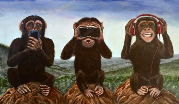 Обезьяны сандзару