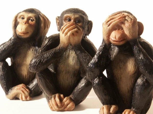 Обезьяны не слышу