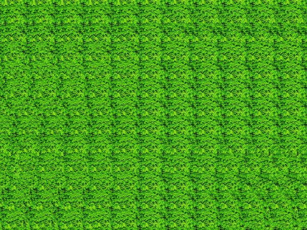 Стереограммы для гимнастики для глаз