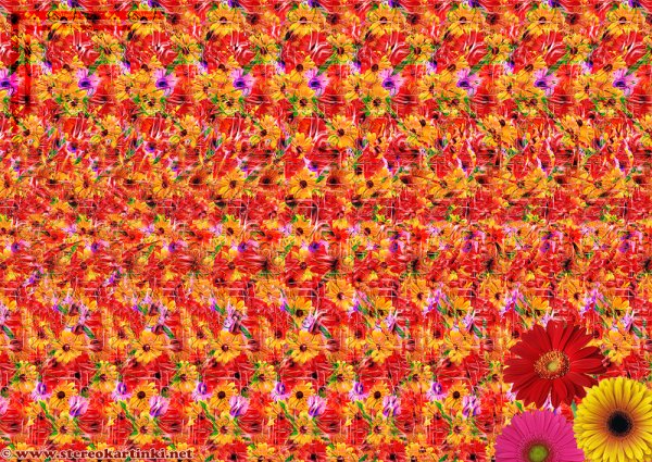 Магия третьего глаза трехмерные стереокартинки Тома Баччи