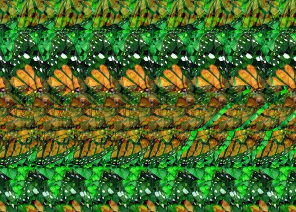 Кристофер Тайлер стереокартинки