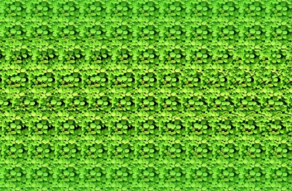 Стереограммы для зрения для новичков