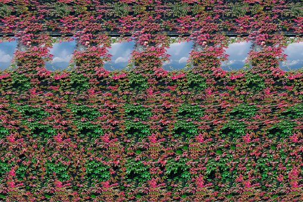 Стереограмма Эйнштейн