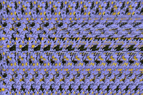 Стереограмма Король Лев