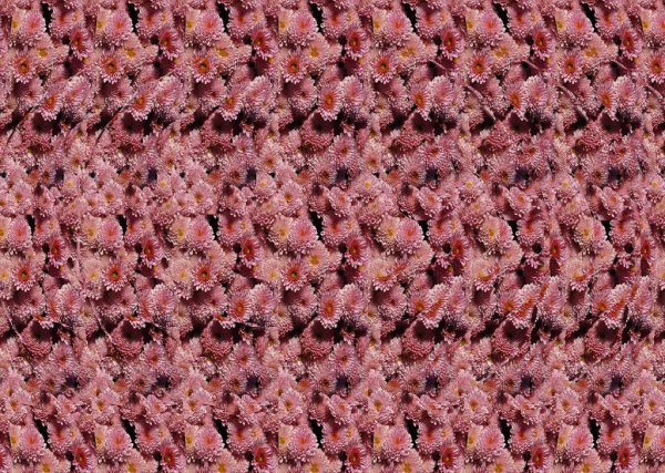 3д стереограммы для глаз