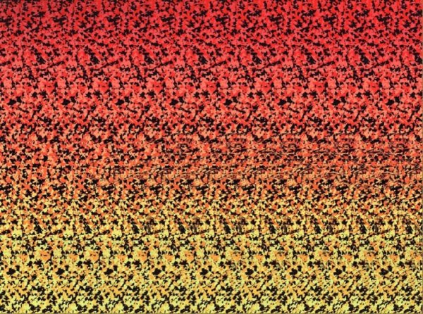 Стереограмма Король Лев