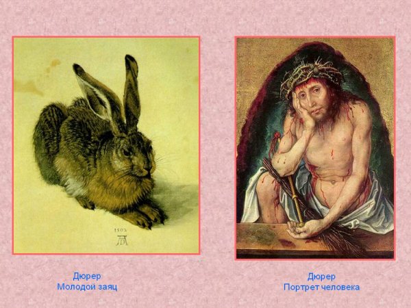 Дюрер заяц картина