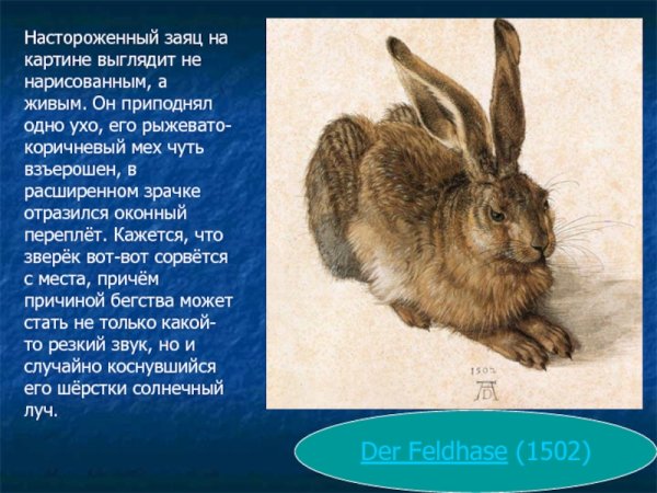 Дюрер Альбрехт Гравюры заяц