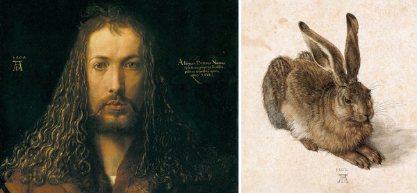 Дюрер Альбрехт животные