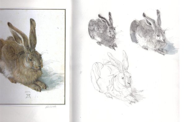 Альбрехт Дюрер заяц