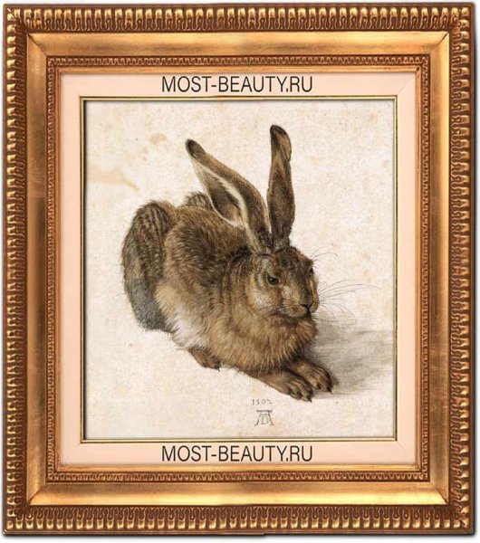 Альбрехт Дюрер заяц