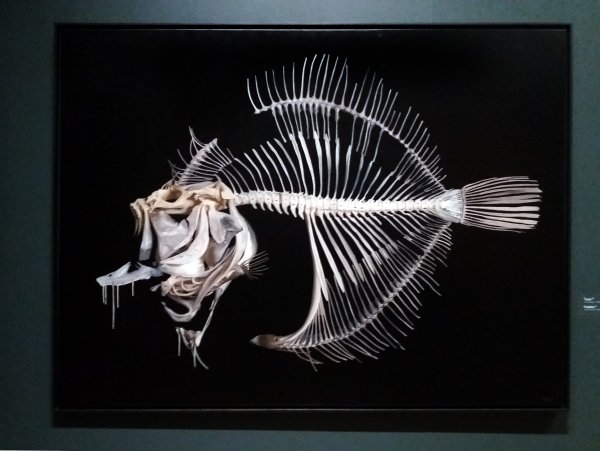 Алексей Бегак художник